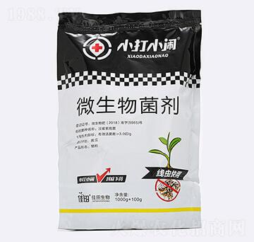 ���x����΢�������-С