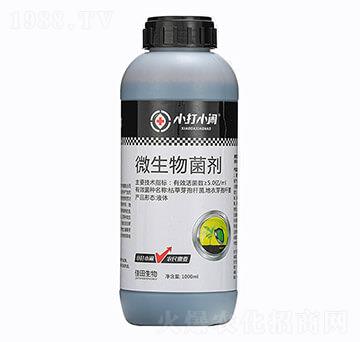 ΢�������-С��С�[-