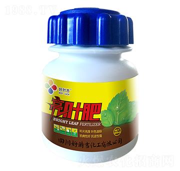 ���~��-�Õr(sh��)��