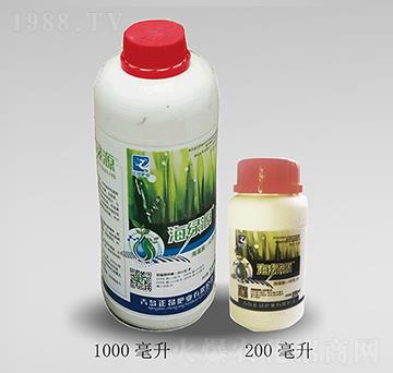 Һ�w�����-���GԴ-�����ʘI(y��)