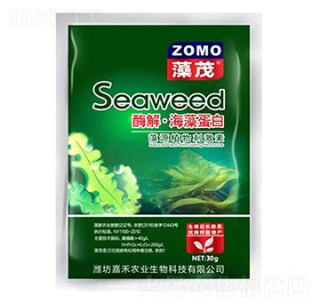 ø�⡤���嵰�ף�����-�κ��r(n��ng)�I(y��)