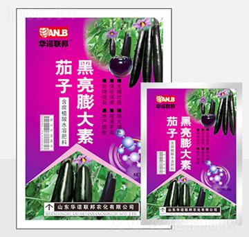 ���Ӻ��������-�A�Z(li��n)