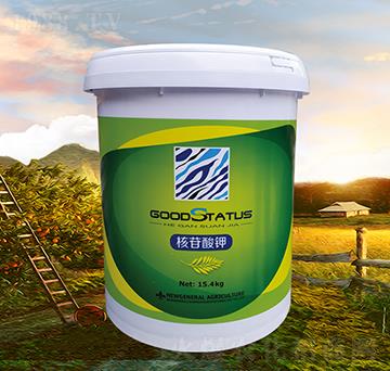 �������-�à�B(t��i)-�r(n��ng)��