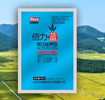 �������{�����������ͣ�