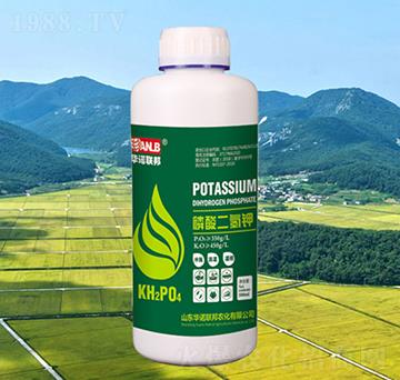 500ml��������-