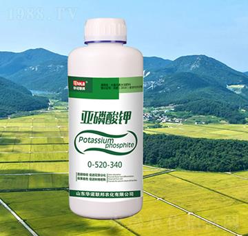 �������0-520-3