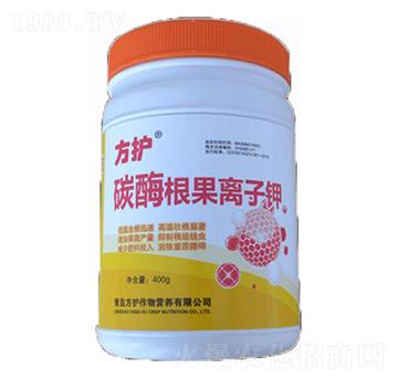 碳酶根果離子鉀-方護