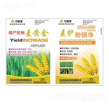 ���a(ch��n)�������S��+���o(h��)���P��-�ɹܼ�-����