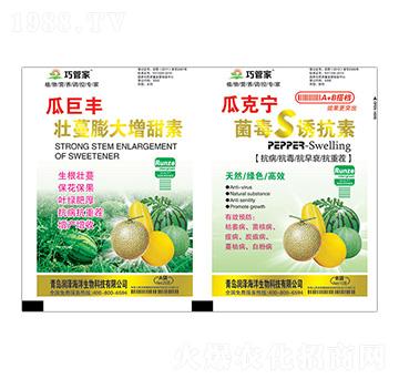 �Ͼ��S�������������+�Ͽˌ�����S�T����-�ɹܼ�-����