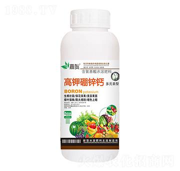 ������\�}-ؐ������