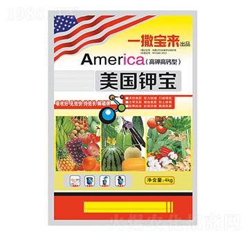 ����(gu��)⛌�-ؐ������