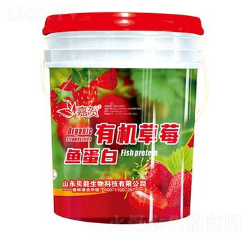 有機草莓魚蛋白-貝能生物