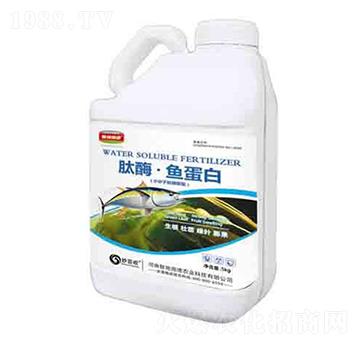 ��ø���~(y��)���� ��(r��n)��