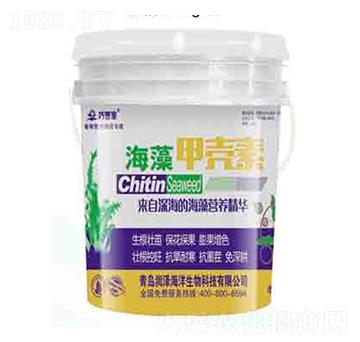 ����ך��� �ɹܼ� ����