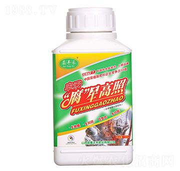 ���Ǹ��բ�� ���S��