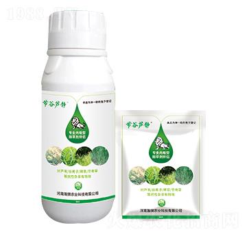 ���I(y��)��(n��i)���Գ��݄���H-��(ji��)���J�o-嫪{�r(n��ng)�I(y��)