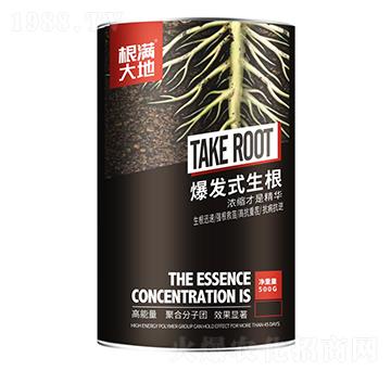 ���l(f��)ʽ����-���M���-�����r(n��ng)�I(y��)