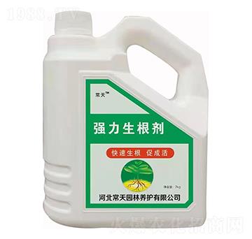 強力生根劑 常天