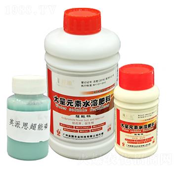 Ӣ��˼������� ���(gu��)�r(n��ng)�I(y��)