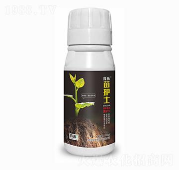 苗護(hù)士 亮米生物