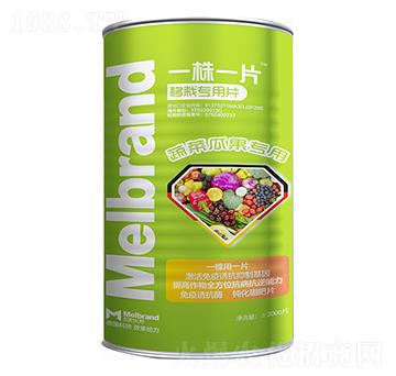 �߲˹Ϲ����� һ��һƬ ������