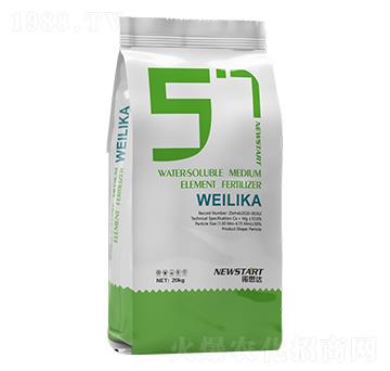 ΢���� �Z˼�_(d��)