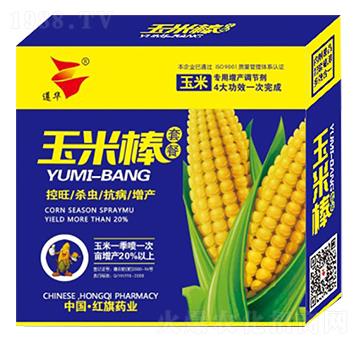 40%��ϩ��-���װ��ײ�-���A-�t��ˎ�I(y��)