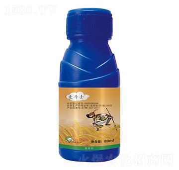 5%��������-����ʿ-�S�՘�