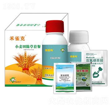 С��������ײ�-��ȸ��-�S�՘�