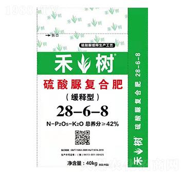 �����������ͺϷ�28-6-8 �̘�