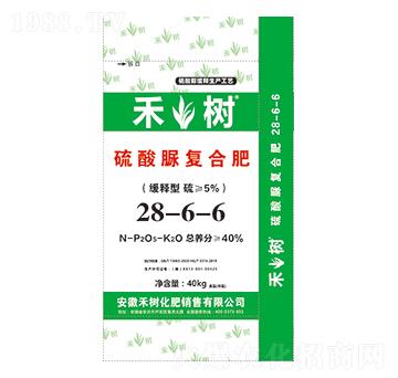 ������ͺϷ�28-6-6 �̘�