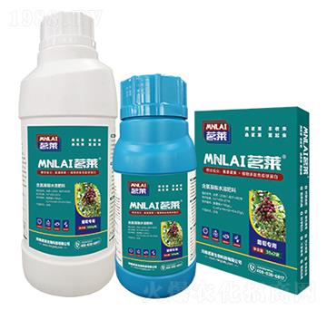 ���ь�(zhu��n)���~���-���R����