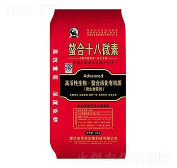 ����ʮ��΢��-����r(n��ng)�I(y��)