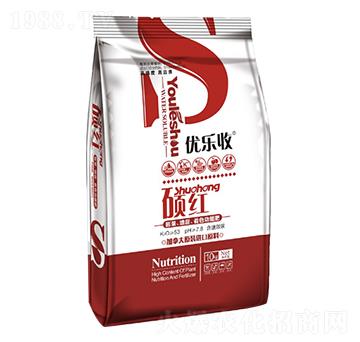 �T�t ��(y��u)���� ��󷼌�