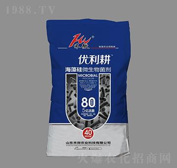 �����΢���������5�|�����-��(y��u)����-��΢