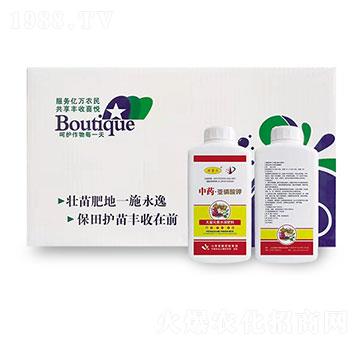 ��ˎ���������-�W�����F(tu��n)