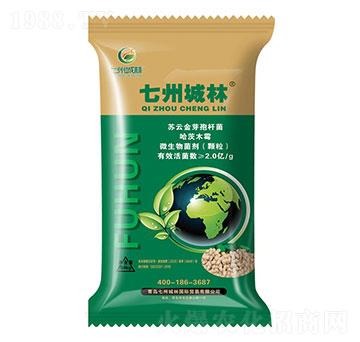 �������طN��-���ݳ���