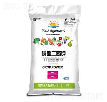 �������� ���� ���_����