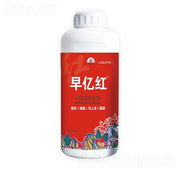 ��|�t �ӹ���