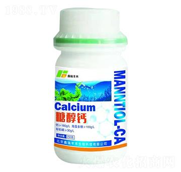 �Ǵ��} �����S��