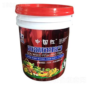 海藻魚(yú)蛋白-泓成沃豐