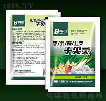 �[����²˸ɼ��`-嫘���