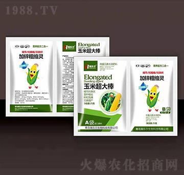 ���׳����+���\�ֿs�`-嫘�(l��)��