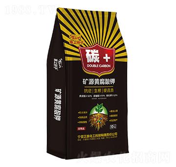 �VԴ�S����� ̼+ ���W����