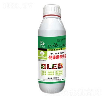 �}�V���F�\���w��-�t����