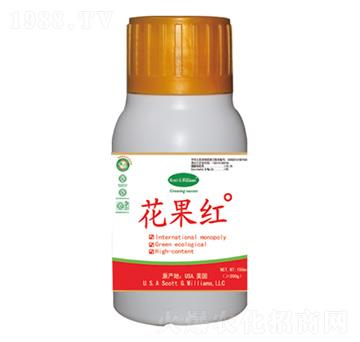 �����t�߹�������ɫ���M��-�����t-���A��