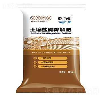 �����}�A�����-ʥ������