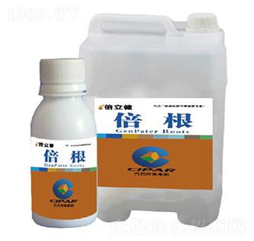 ����-������-�����r(n��ng)�I(y��)