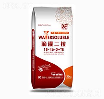 �ι���@18-46-0+TE-��������