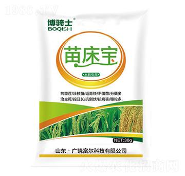 �紲��-���Tʿ-�����Ƽ�